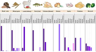 Selenium in Human Health and Gut Microflora: Bioavailability of Selenocompounds and Relationship With Diseases